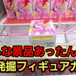 【趣味】初心に戻り、ドマイナー景品の攻略レビュー【クレーンゲーム】