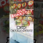 【クレーンゲーム】 なんかヤバい事言い出した‼️ #撮影許可とってます