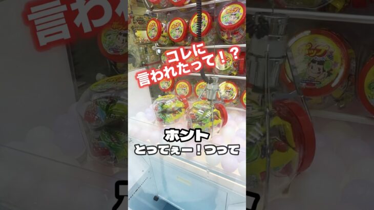 【クレーンゲーム】 なんかヤバい事言い出した‼️ #撮影許可とってます