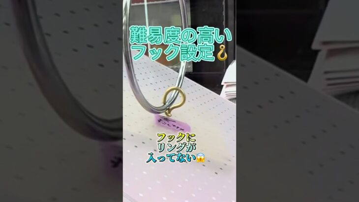 難易度の高いフック設定【クレーンゲーム】蓬莱５５１肉まん#フック設定#クレーンゲーム # フック設定