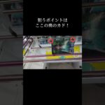 諦めないで！まだこの形は取れる可能性が残ってる🔥【クレーンゲーム】