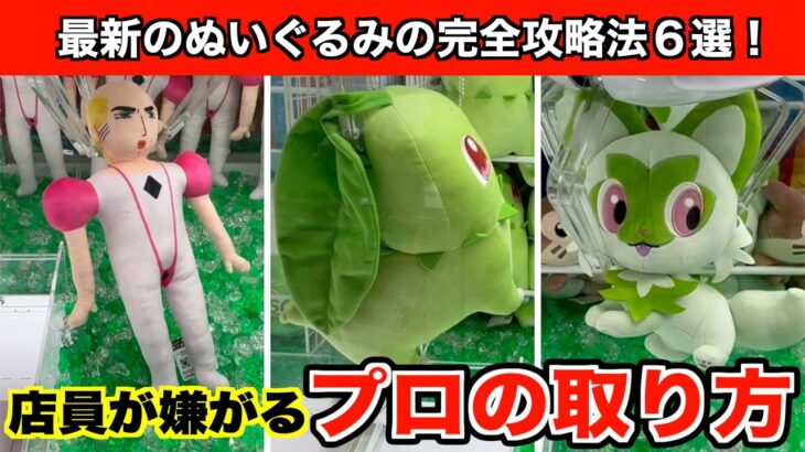 【チコリータなど】初心者でも絶対取れる！クレーンゲームで最新のポケモンなどのぬいぐるみ攻略法６選！