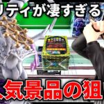 【クレーンゲーム】コレ本当にプライズのクオリティ！？大人気景品を攻略！