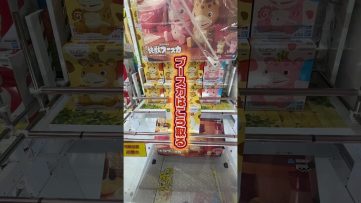 ブースカ最短攻略法！ #クレーンゲーム #橋渡し #フィギュア