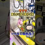 【ゲーセン】今のラブブならクレーンゲームで簡単に取れるんじゃない？！