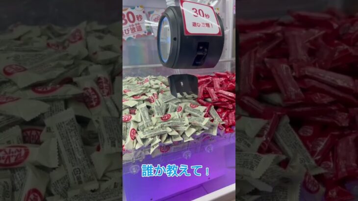 【クレーンゲーム】めっちゃ取れそうな予感⁉︎