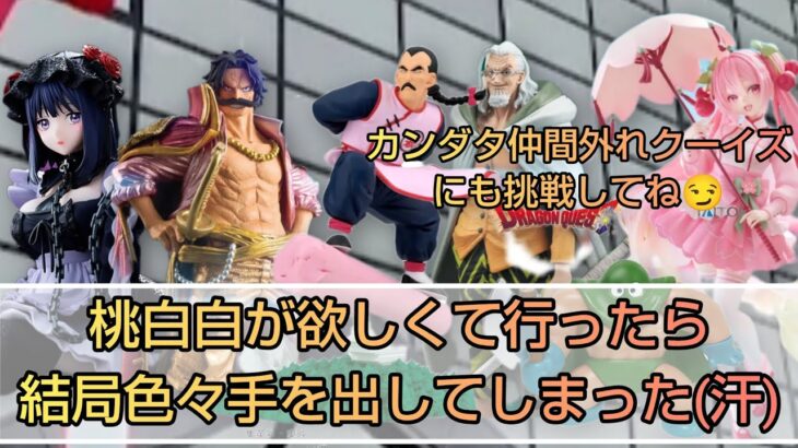 【クレーンゲーム】【収支】【クイズ】桃白白カッケーなぁ😆なのに意外と安い(笑)やっぱ萌え系じゃないとアカンか！