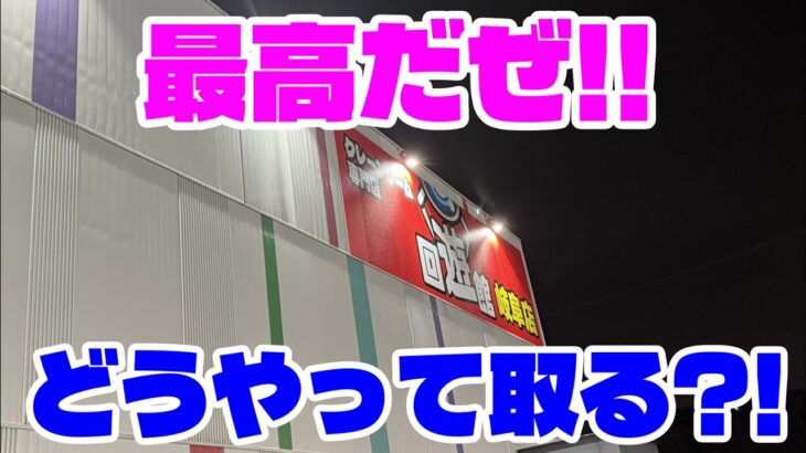 【クレーンゲーム】最高だぜ!!回遊館 岐阜店 どうやって取る?!