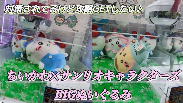 ちいかわ✕サンリオキャラクターズ①、まじかるちいかわ他☆ 色々対策されてるけど攻略します♪【クレーンゲーム】