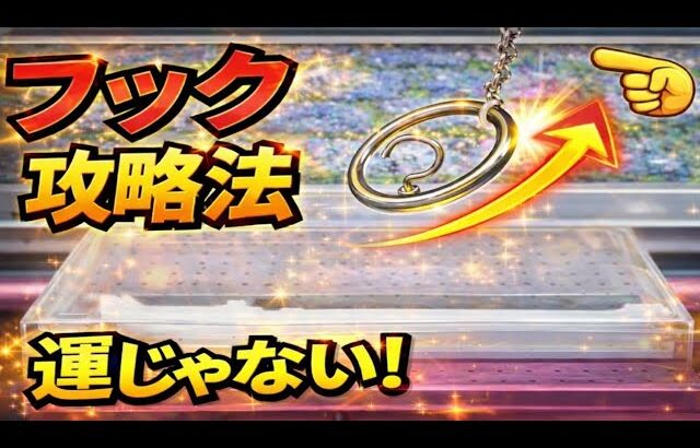 フック設定攻略｜初心者は「ここ」だけ見ろ【クレーンゲーム】