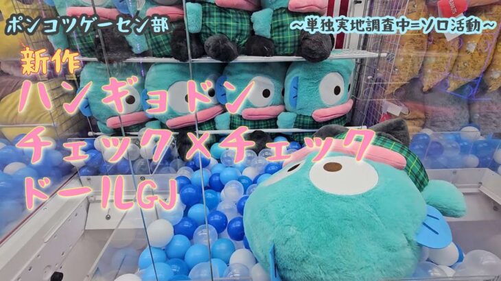 【検証】大きなハンギョドンに攻略法はあるのか？粘り続けた結果。