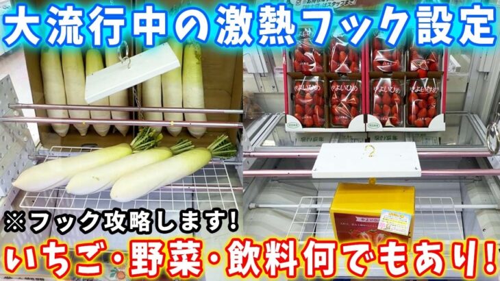 【フック攻略】大人気のフック台攻略！イチゴ、野菜、飲料などが取れる優良店で遊び倒す！ファミリーや主婦などにも人気の景品が盛り沢山！【クレーンゲーム 万代書店川越店】