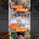 #もってきーな #クレーンゲーム #クレーンゲーム攻略