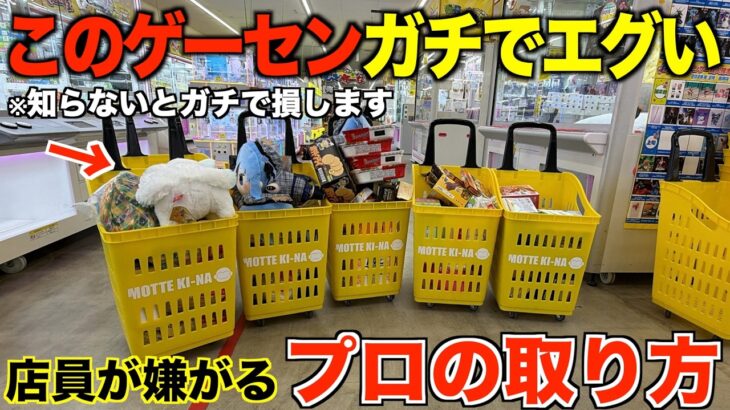 【クレーンゲーム】爆獲れできる！知らないとガチで損する！このゲーセンガチでヤバい！カートパンパンになるまで景品を取り尽くす！！ぬいぐるみが取りやすい！
