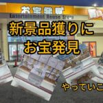 【クレーンゲーム】お宝発見に新景品獲りに来た やってくよ　さ〜やっていこ〜✨