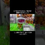 【そんな取れ方ある？】ヒトカゲ～しっぽみてみてver.～GET！　#ポケットモンスター #ポケモン #pokemon #ぬいぐるみ #クレーンゲーム