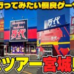 【総集編】知らないと必ず損する！？宮城県にあるゲームセンターが規格外にヤバすぎたw【クレーンゲーム】