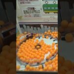 無限列車ピンポン地獄設定w#クレーンゲーム