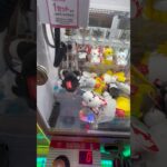 獲れなさすぎてビックリしたw #shorts   #フック #夾娃娃機 #ゲームセンター #uFoキャッチャー ＃夾娃娃＃ゲーセン＃倉庫系 #クレーンゲーム #ゲッタースピン