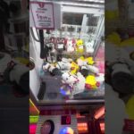 近いのにひどすぎw うえーん #shorts   #フック #夾娃娃機 #ゲームセンター #uFoキャッチャー ＃夾娃娃＃ゲーセン＃倉庫系 #クレーンゲーム #ゲッタースピン