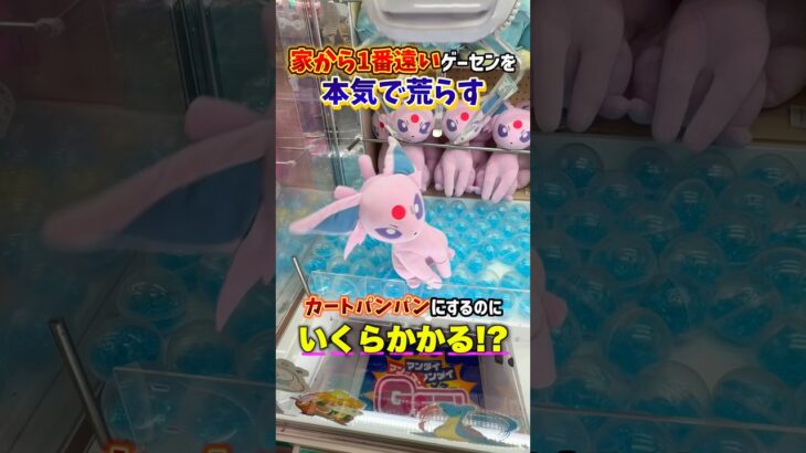 家から1番遠いゲーセンでカートパンパンするにいくらかかるのか挑戦してみたら、、、 #shorts #クレーンゲーム #ufoキャッチャー # ゲーセン #ゲームセンター #万代 札幌藤野店