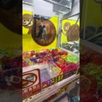 10円ゲーセン⑤ #shorts  #cranegame  #フック #夾娃娃機 #ゲームセンター ＃ゲーセン＃倉庫系 #クレーンゲーム #ゲッタースピン