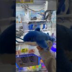 10円キャッチャーの景品を狙ってみたら… #クレーンゲーム #ufoキャッチャー #ぬいぐるみ #10円キャッチャー