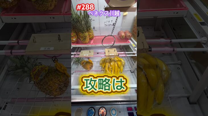 フック設定でバナナが100円は超お得 #クレーンゲーム #ベネクス川越 #ufoキャッチャー
