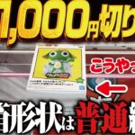 【クレーンゲーム】新景品で単価1,000円以下にする！攻略！回遊館岐阜店！