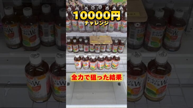 めちゃくちゃ獲れると噂のあの店で、10000円チャレンジ！ #shorts #クレーンゲーム #ufoキャッチャー #cranegame