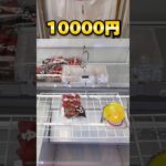 世界一獲れるゲーセンで、10000円チャレンジした結果が…‼︎ #shorts #クレーンゲーム #ufoキャッチャー #cranegame