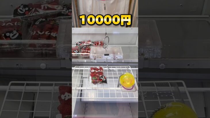 世界一獲れるゲーセンで、10000円チャレンジした結果が…‼︎ #shorts #クレーンゲーム #ufoキャッチャー #cranegame