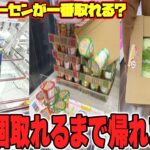 【総集編】一体いくら必要！？地獄の景品100個GETクレゲ旅が過酷すぎたw【クレーンゲーム】