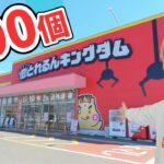クレーンゲーム茨城県で1番やってるお店！景品100個とるまでおわれまてん　さとちん