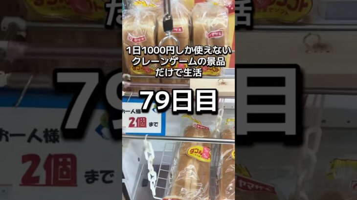 1日1000円しか使えないクレーンゲームの景品だけで生活79日目 #clawmachine #ゲームセンター #クレーンゲーム #ufoキャッチャー #ゲーセン #フック設定