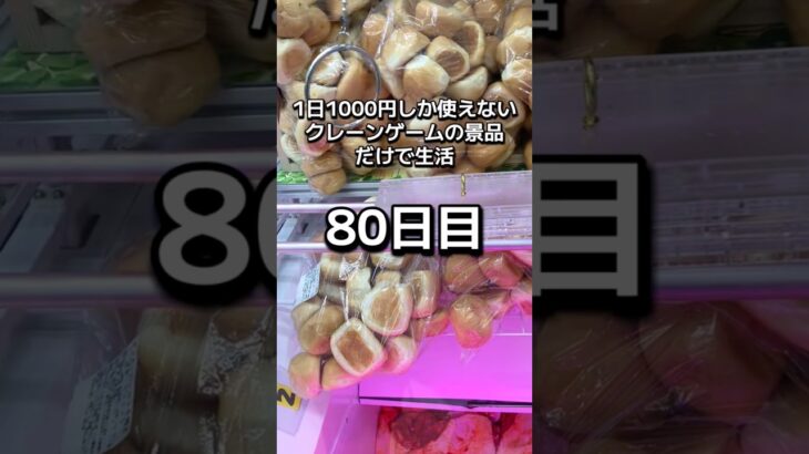 1日1000円しか使えないクレーンゲームの景品だけで生活80日目 #clawmachine #クレーンゲーム #ゲームセンター #ufoキャッチャー #ゲーセン #フック設定