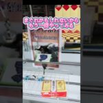 【クレーンゲーム攻略】1個1,080円の高級プリンを数百円で獲る方法がこちら #攻略 #裏技 #ゲーセン