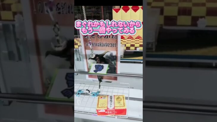 【クレーンゲーム攻略】1個1,080円の高級プリンを数百円で獲る方法がこちら #攻略 #裏技 #ゲーセン