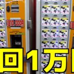 1回1万円のポケカ自販機がヤバすぎて失神寸前だった・・【クレーンゲーム／UFOキャッチャー】