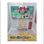 『オンラインクレーンゲーム』1回勝負‼️動画#オンラインクレーンゲーム#オンクレ#クレーンゲーム#1回勝負#onlinecranegame#cranegame