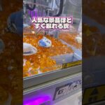 【ちいかわ】人気な景品も1発GET！クレゲで失敗したく無い人フォローお願いします！ #クレーンゲーム #ゲームセンター #ufoキャッチャー #ゲーセン #ちいかわ#ハチワレ #chiikawa#攻略