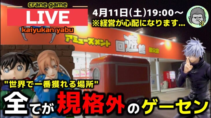 【クレーンゲーム】世界で1番獲れる場所へ！全てが規格外のお店で暴れます！【回遊館養父店・UFOキャッチャー】