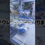 【ベネクス浦和店】ちいかわ最新景品コンプまで残り2種類！コンプ達成なるか？？#クレーンゲーム #ゲームセンター　#ufoキャッチャー #ちいかわ #ハチワレ #うさぎ #ベネクス #確率機