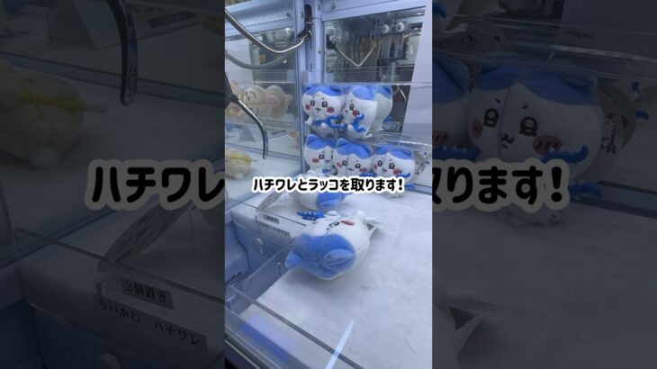 【ベネクス浦和店】ちいかわ最新景品コンプまで残り2種類！コンプ達成なるか？？#クレーンゲーム #ゲームセンター　#ufoキャッチャー #ちいかわ #ハチワレ #うさぎ #ベネクス #確率機