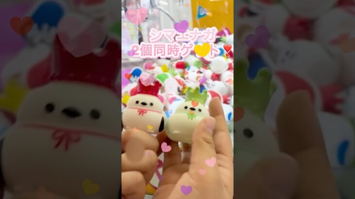 キツネちゃん🦊のクレーンゲーム❗️シマエナガ2個同時ゲット❣️#クレーンゲーム #ゲーセン #ufoキャッチャー #シマエナガ #おもちゃ #グッズ #小学生 #japan #かわいい #攻略