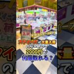 【ゲーセン】スクイーズが大量入荷してるゲーセンで2000円使ったら何個取れるのか検証してみました🔥(撮影店舗:アピナ吉岡店) (クレーンゲーム)