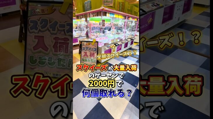 【ゲーセン】スクイーズが大量入荷してるゲーセンで2000円使ったら何個取れるのか検証してみました🔥(撮影店舗:アピナ吉岡店) (クレーンゲーム)