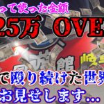 【25万円OVER】1か月通い続けたら使用金額がヤバかった…（クレーンゲーム）回遊館 岐阜店