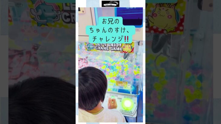 クレーンゲーム配信(26/3/1)@ぐるぐる大帝国さん②（10円キャッチャー）　@りつとまチャンネル #りつとまチャンネル #クレーンゲーム #ufoキャッチャー #ufocatcher