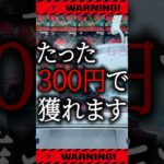 【クレーンゲーム】たった300円で景品をGET出来る!!【UFOキャッチャー】